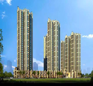 红树东岸